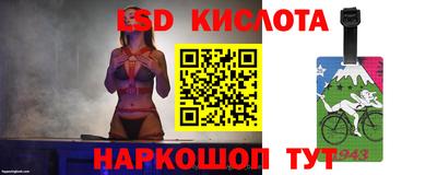 PSILOCYBIN Кунгур