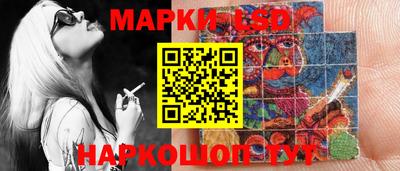 индика Кулебаки