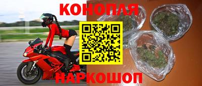 индика Кулебаки